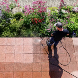 Patrice