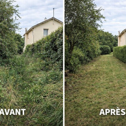 François_2836